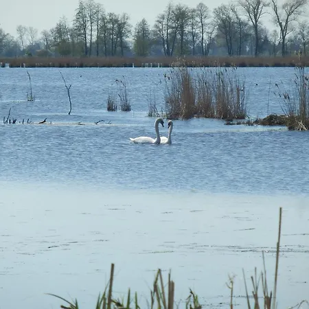 Baltisches Haus Moll Zinnowitz