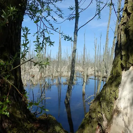Baltisches Haus Moll Konukevi