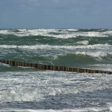 Baltisches Haus Moll Konukevi