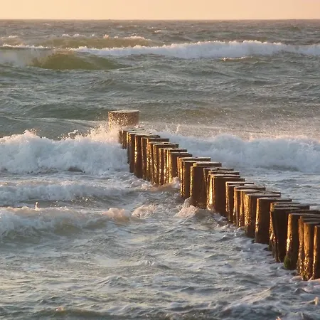 Baltisches Haus Moll