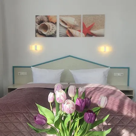 Konukevi Baltisches Haus Moll Penzance