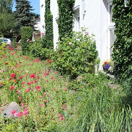 Baltisches Haus Moll Affittacamere